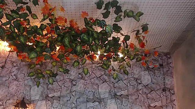 Lancelot Benwick online show from January 2025 01:38:02 AM