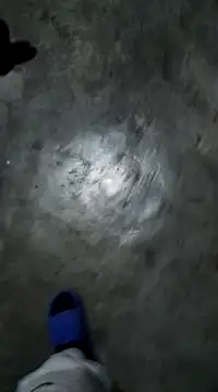 RODRI POLLADURA online show from January 2025 06:47:02 AM