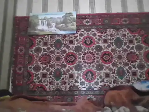 Snapshot of AlferezzSolvajo chatting on March 2025 06:50:02 AM AlferezzSolvajo online show from March 2025 06:50:02 AM