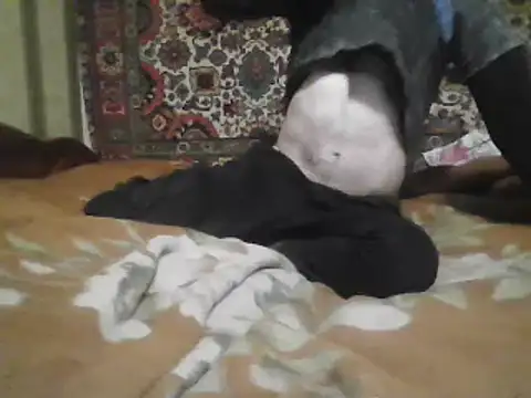 Snapshot of AlferezzSolvajo chatting on March 2025 05:34:02 PM AlferezzSolvajo online show from March 2025 05:34:02 PM