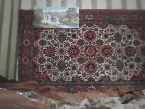 Snapshot of AlferezzSolvajo chatting on September 2025 07:02:02 PM AlferezzSolvajo online show from September 2025 07:02:02 PM