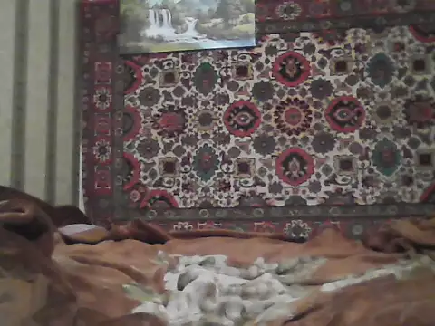 Snapshot of AlferezzSolvajo chatting on October 2025 02:07:02 PM AlferezzSolvajo online show from October 2025 02:07:02 PM