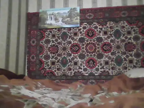 Snapshot of AlferezzSolvajo chatting on November 2025 06:58:02 AM AlferezzSolvajo online show from November 2025 06:58:02 AM