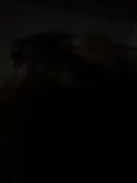 Kitty DaCocks online show from January 2026 12:13:02 AM