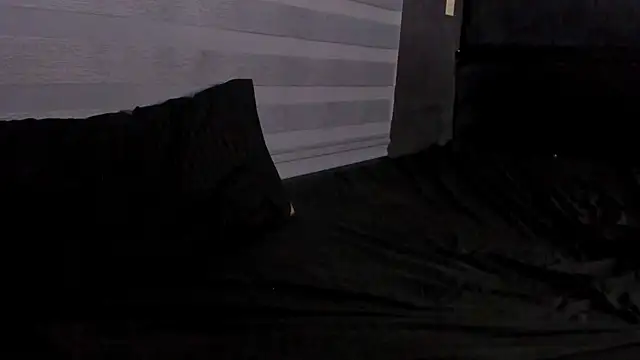 adam piarse01 online show from March 2025 05:28:02 AM