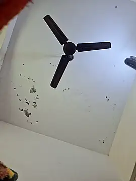 Snapshot of Tanu-Call-Me chatting on January 2025 05:10:01 AM Tanu-Call-Me online show from January 2025 05:10:01 AM