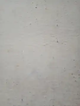 Pooja cut online show from December 2025 02:28:02 AM