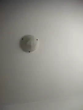 NNNoire online show from December 2025 10:33:01 AM