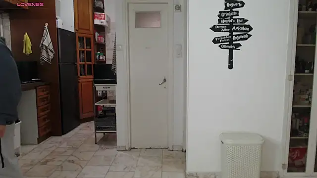 todddantes25 online show from March 2025 02:30:02 PM