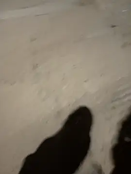 the queen of street online show from January 2025 04:34:01 AM