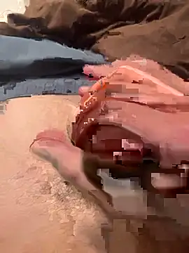 Snapshot of qazsazx chatting on November 2025 05:29:02 AM qazsazx online show from November 2025 05:29:02 AM