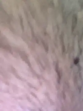 TOPMOON001 online show from March 2025 06:24:01 AM