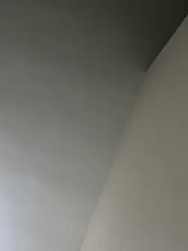 senle12ben online show from January 2025 05:40:02 PM