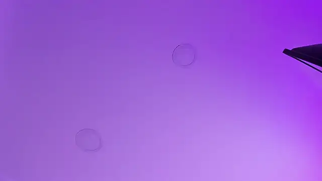 kathy bakerr online show from March 2026 01:25:01 PM