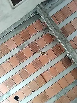 safado0027 online show from October 2025 10:49:02 AM