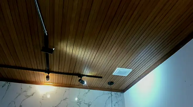 tim  fox online show from February 2025 08:02:02 PM