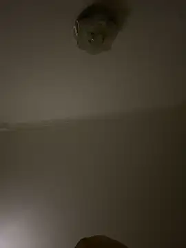                     88 online show from March 2026 04:15:01 PM