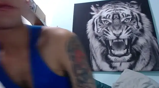 Snapshot of dany_hardy chatting on February 2025 04:15:02 AM dany hardy online show from February 2025 04:15:02 AM