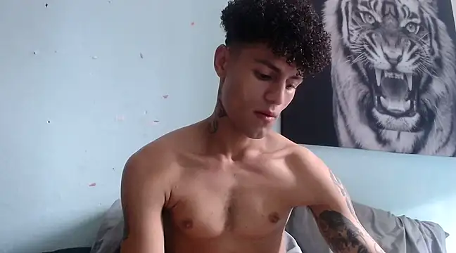 Snapshot of dany_hardy chatting on February 2025 04:14:02 PM dany hardy online show from February 2025 04:14:02 PM