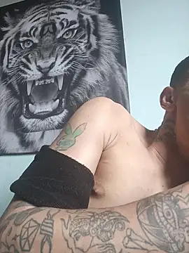 Snapshot of dany_hardy chatting on October 2025 07:38:02 PM dany hardy online show from October 2025 07:38:02 PM