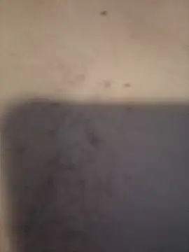 Snapshot of dany_hardy chatting on March 2026 08:36:02 PM dany hardy online show from March 2026 08:36:02 PM