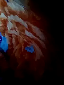 rameshjisex online show from November 2025 01:17:01 AM