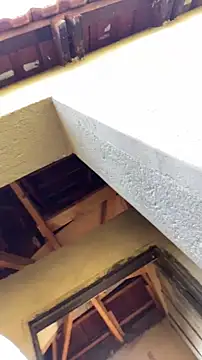 Snapshot of snotLoud chatting on March 2026 06:50:01 AM snotLoud online show from March 2026 06:50:01 AM