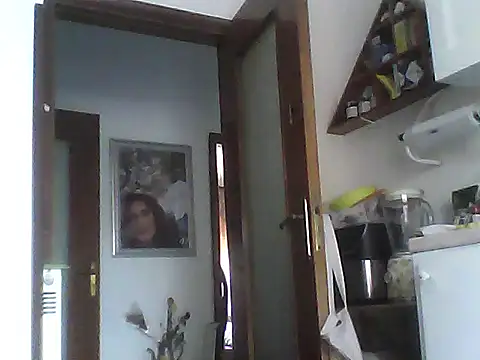 nelly88 xxx online show from June 2026 12:09:02 PM