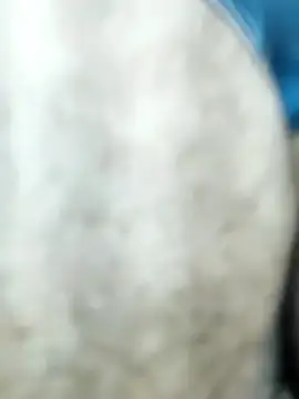 Snapshot of HGKNSS chatting on April 2026 06:34:01 PM HGKNSS online show from April 2026 06:34:01 PM