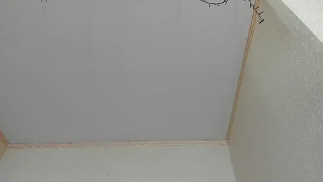 Snapshot of Browni_Kiss chatting on January 2025 07:49:01 AM Browni Kiss online show from January 2025 07:49:01 AM