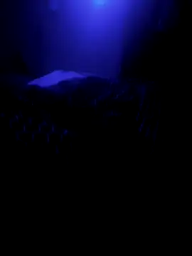 Raziv komal143 online show from February 2025 12:16:01 AM