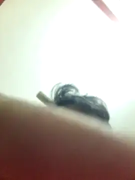 Marvelous Piyush online show from March 2025 08:19:02 AM