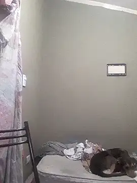 Snapshot of EstebanAkyLu chatting on April 2026 02:09:01 AM EstebanAkyLu online show from April 2026 02:09:01 AM