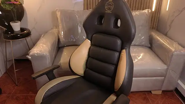 Kitten Cam online show from February 2026 03:36:02 AM