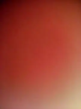 Bhuvi Bedi online show from September 2025 03:29:01 AM