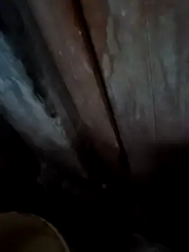 Raj41 online show from November 2025 01:19:02 AM