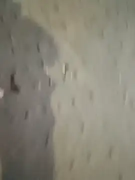 Raj41 online show from December 2025 12:24:02 PM