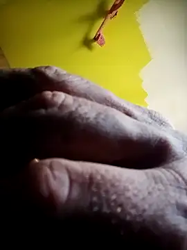 wapo100x100 online show from October 2025 11:07:02 AM