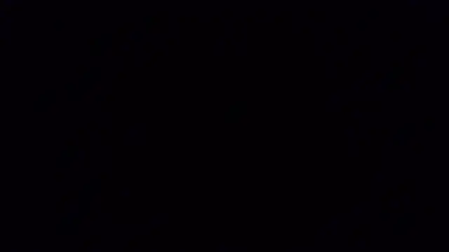 Snapshot of verhona_vlad chatting on February 2025 11:41:02 AM verhona vlad online show from February 2025 11:41:02 AM