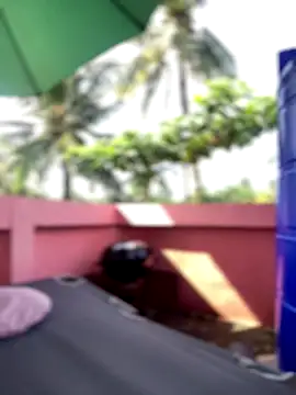 White Lu online show from September 2025 02:04:02 AM