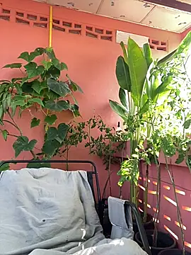 Snapshot of White_Lu chatting on April 2026 02:17:01 AM White Lu online show from April 2026 02:17:01 AM