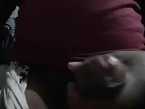 lolboy1234Z online show from January 2025 03:54:02 PM