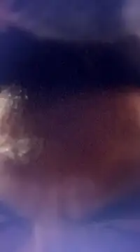 Snapshot of randit7 chatting on January 2025 12:52:01 PM randit7 online show from January 2025 12:52:01 PM