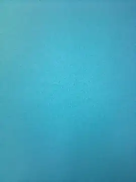 Snapshot of randit7 chatting on February 2025 09:10:01 AM randit7 online show from February 2025 09:10:01 AM