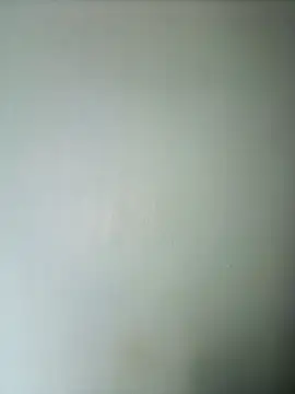 Snapshot of randit7 chatting on February 2025 02:53:01 AM randit7 online show from February 2025 02:53:01 AM