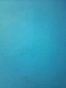 Snapshot of randit7 chatting on February 2025 01:47:02 PM randit7 online show from February 2025 01:47:02 PM