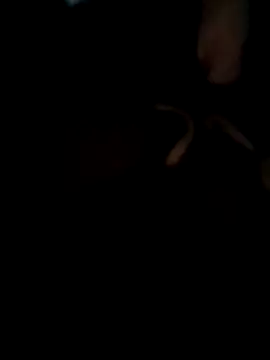 Sbu gold online show from February 2026 05:17:02 AM