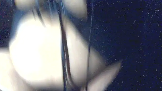 Snapshot of Leelasissy chatting on March 2026 05:20:02 PM Leelasissy online show from March 2026 05:20:02 PM
