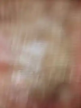 xmanrawan2 online show from February 2025 08:39:02 AM