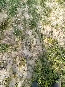 xmanrawan2 online show from March 2025 11:34:02 AM